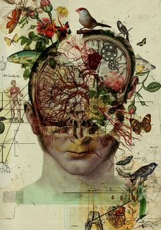 Ciencias Naturales Quinto (B)